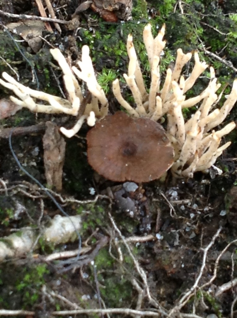 (c)DearTeacherLT2013 (You may use the image if you link back to the blog and/or give credit to Dear Teacher/Love Teacher)