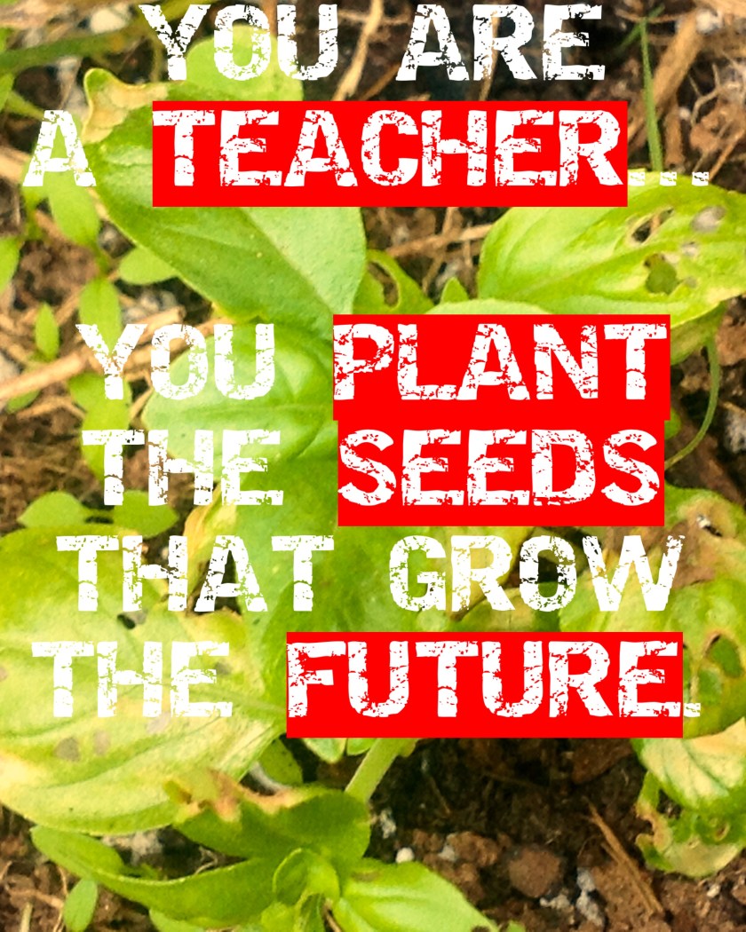 (c)DearTeacherLT2013 (You may use the image if you link back to the blog and/or give credit to Dear Teacher/Love Teacher)